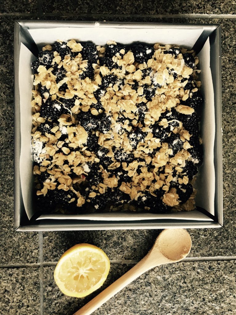 Marinberry Coconut Crumble Bars